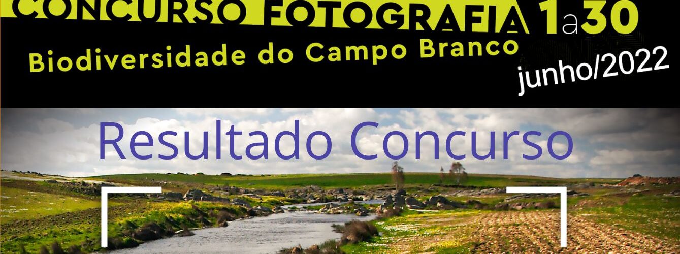 Imagem Relativa ao Concurso de Fotografia