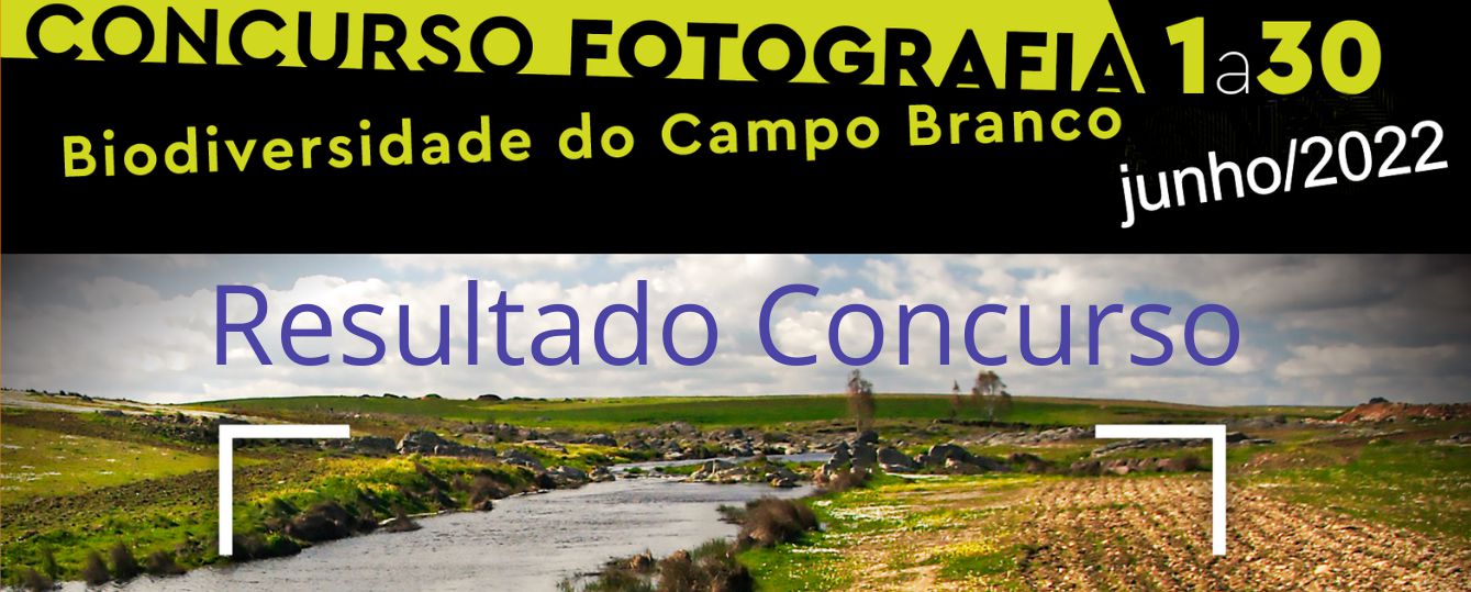 Concurso de Fotografia